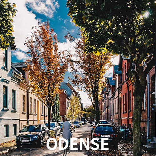 odense_500_500